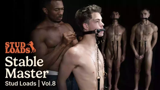 Stud Loads – Stud Loads Volume 8, Stable Master_2